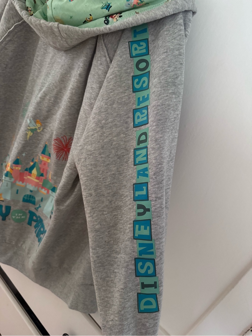 Disneyland Resort zip up hoodie - Picture 4 of 4